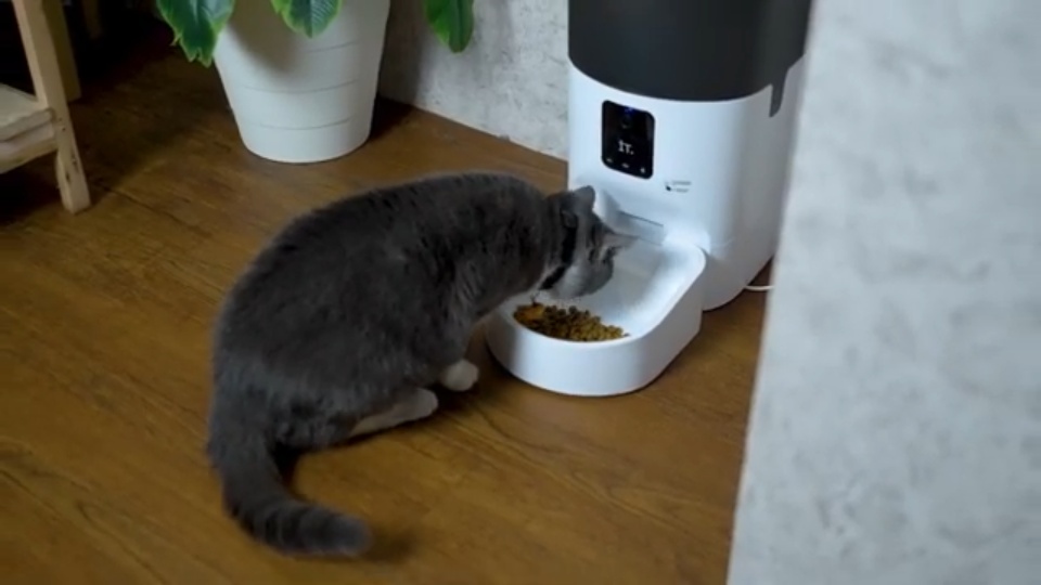 Gadget_buat_Pecinta_Kucing