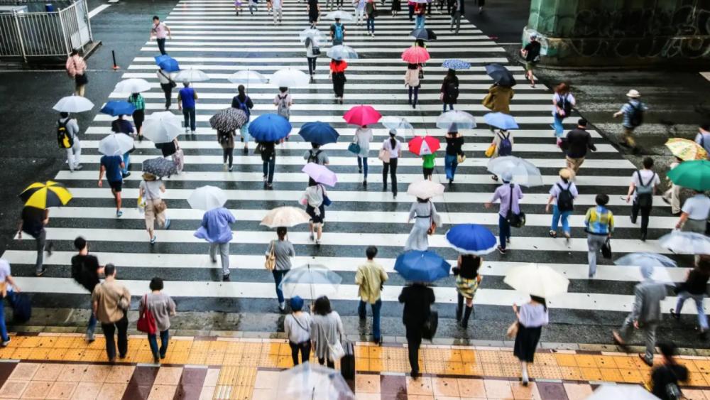 Cara Melindungi HP Saat Hujan