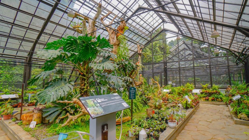 Rekomendasi_Destinasi_Wisata_dekat_Stasiun_Bogor