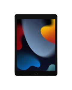 iPad (Gen 9) 10,2 inci, Wi-Fi + Cellular 256GB, Silver