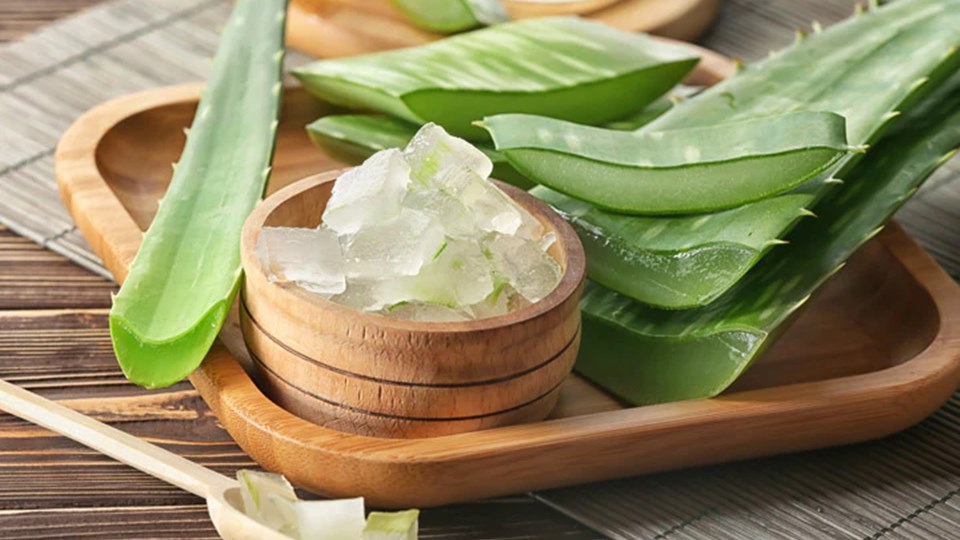 Ini Dia Manfaat Aloevera di Rambut untuk Tampilan yang Ideal