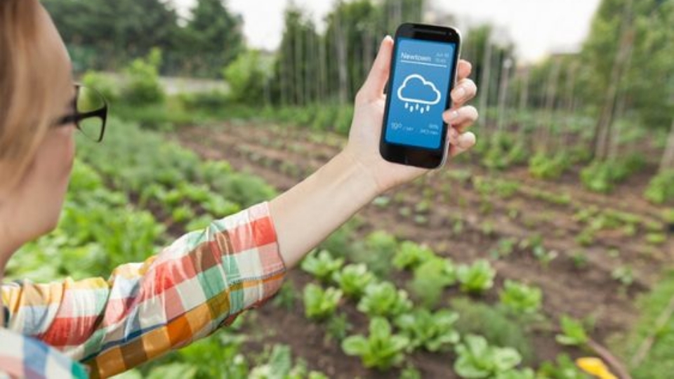 Keuntungan Menggunakan Aplikasi Cuaca di Kehidupan Sehari-hari