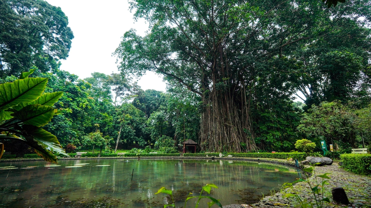 12 Destinasi Wisata Dekat Stasiun Bogor, Tinggal Jalan Kaki!