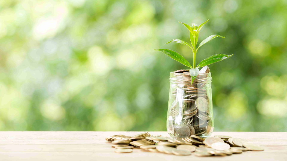 Tips Memulai Investasi Reksa Dana untuk Pemula yang Anti Worry