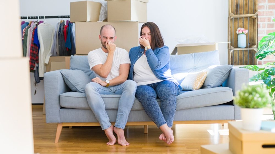 7 Manfaat Dehumidifier untuk Kesehatan Hingga Kenyamanan