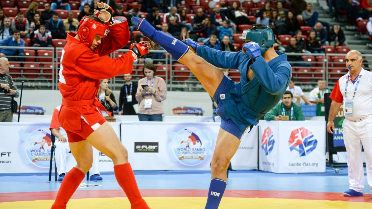 Apa itu Olahraga Sambo dan Berbagai Jenis Olahraga Sambo