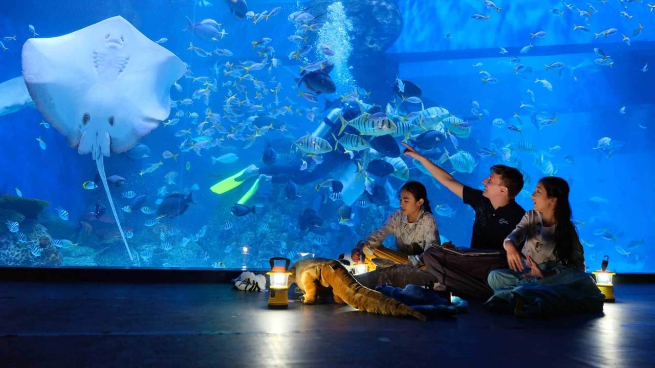 10 Rekomendasi Tempat Wisata di Jakarta Paling Populer & Hits