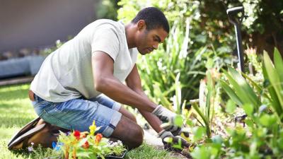 Simak Manfaat Berkebun untuk Kesehatan, Bukan Hal Sepele!
