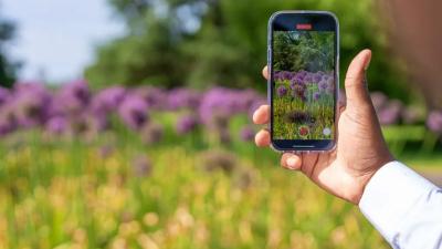 Cara Bikin Video Sinematik di HP Agar Hasilnya Terlihat Profesional