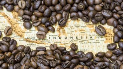 Jenis Kopi Terbaik Indonesia yang Sukses Mendunia, Apa Saja?