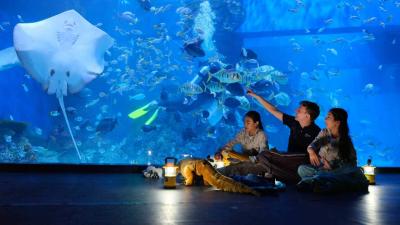 10 Rekomendasi Tempat Wisata di Jakarta Paling Populer & Hits