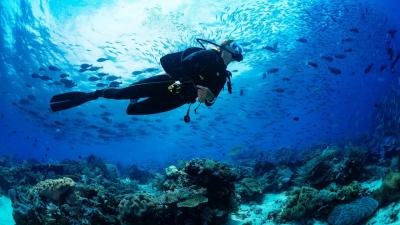 5 Spot Diving Terbaik di Indonesia yang Simpan Keindahan Bawah Laut