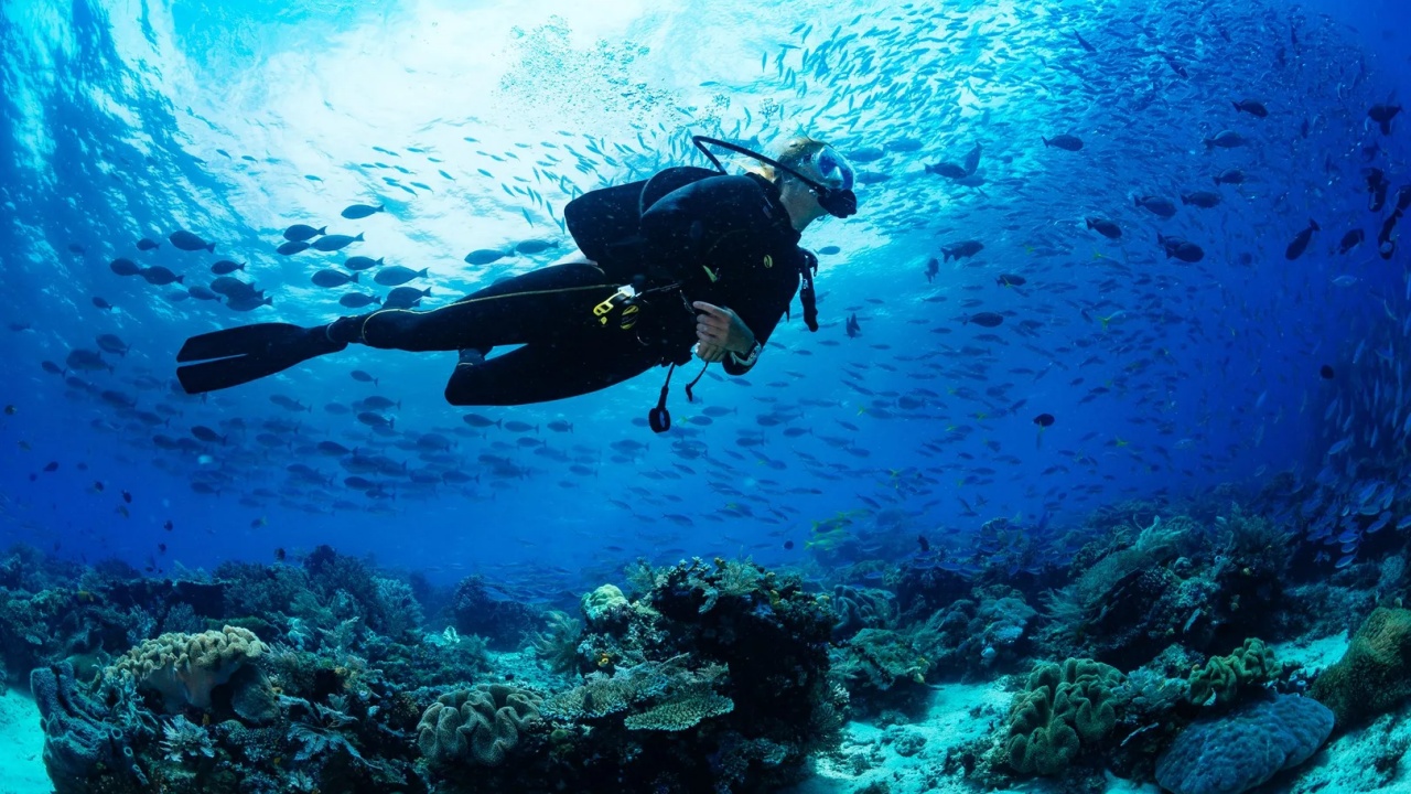 5 Spot Diving Terbaik di Indonesia yang Simpan Keindahan Bawah Laut