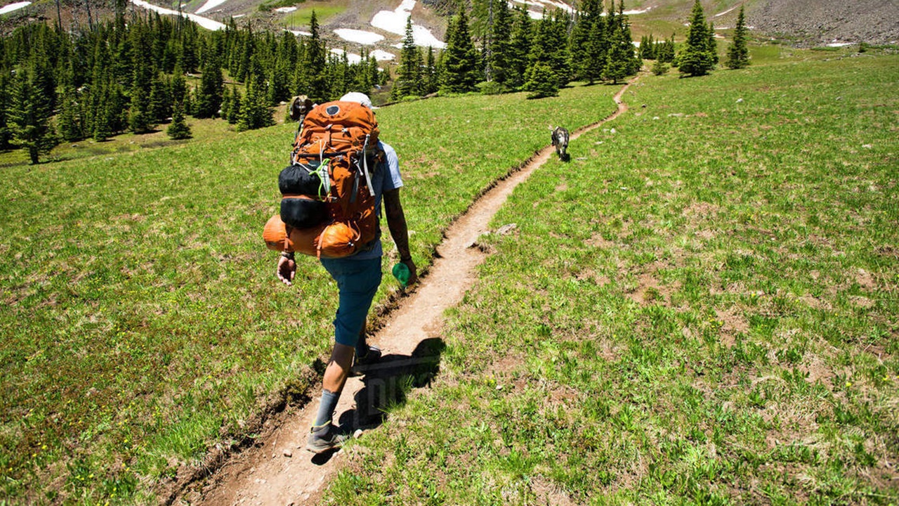 7 Tips Solo Hiking yang Wajib Diketahui Pendaki Pemula