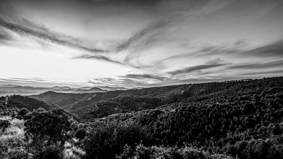 5 Tips Foto Hitam Putih Pakai Kamera Smartphone Bawaan